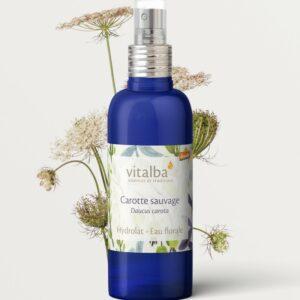 Hydrolat carotte sauvage bio